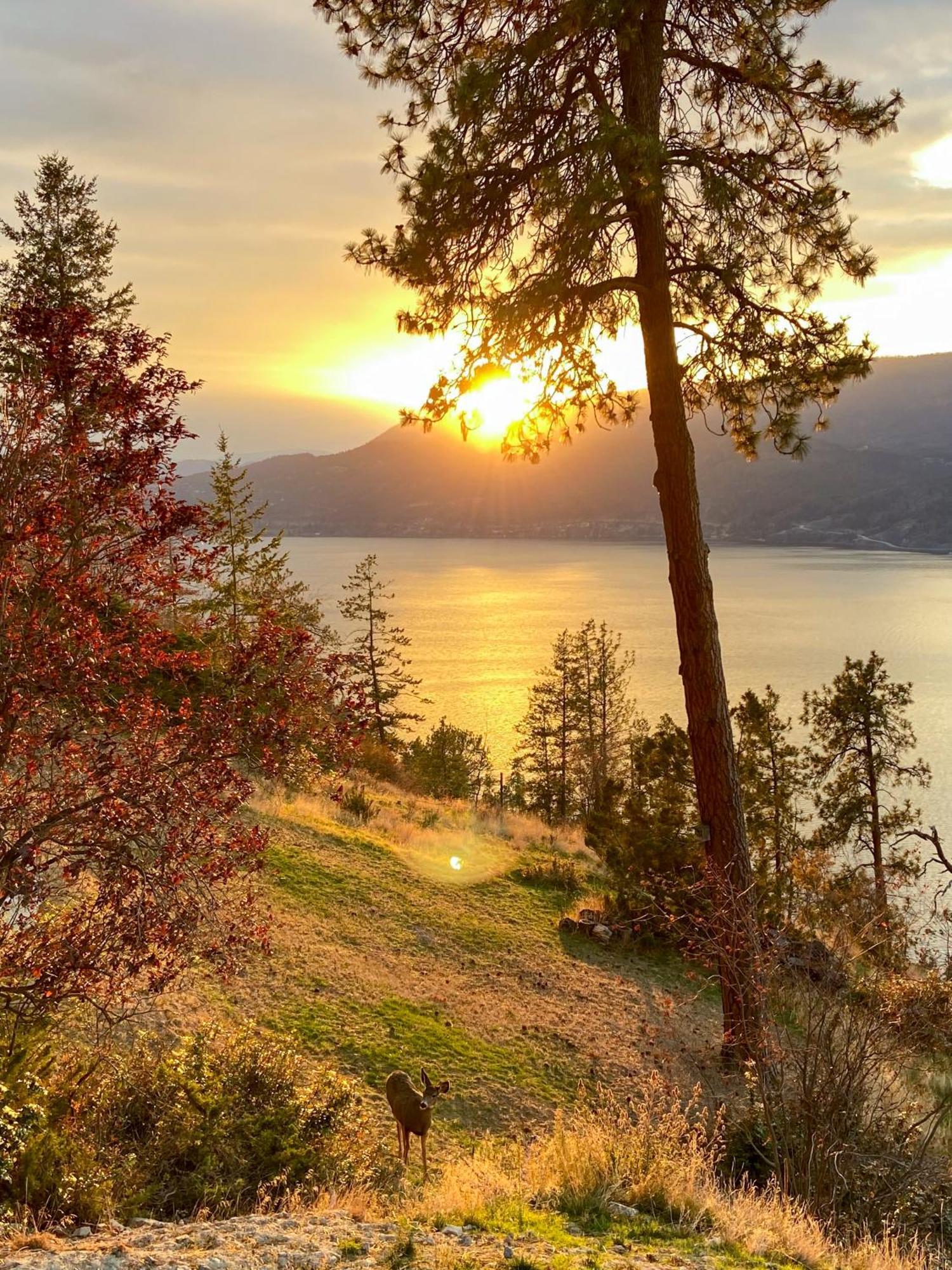 Kelowfornia Lakeview Retreat Kelowna Esterno foto