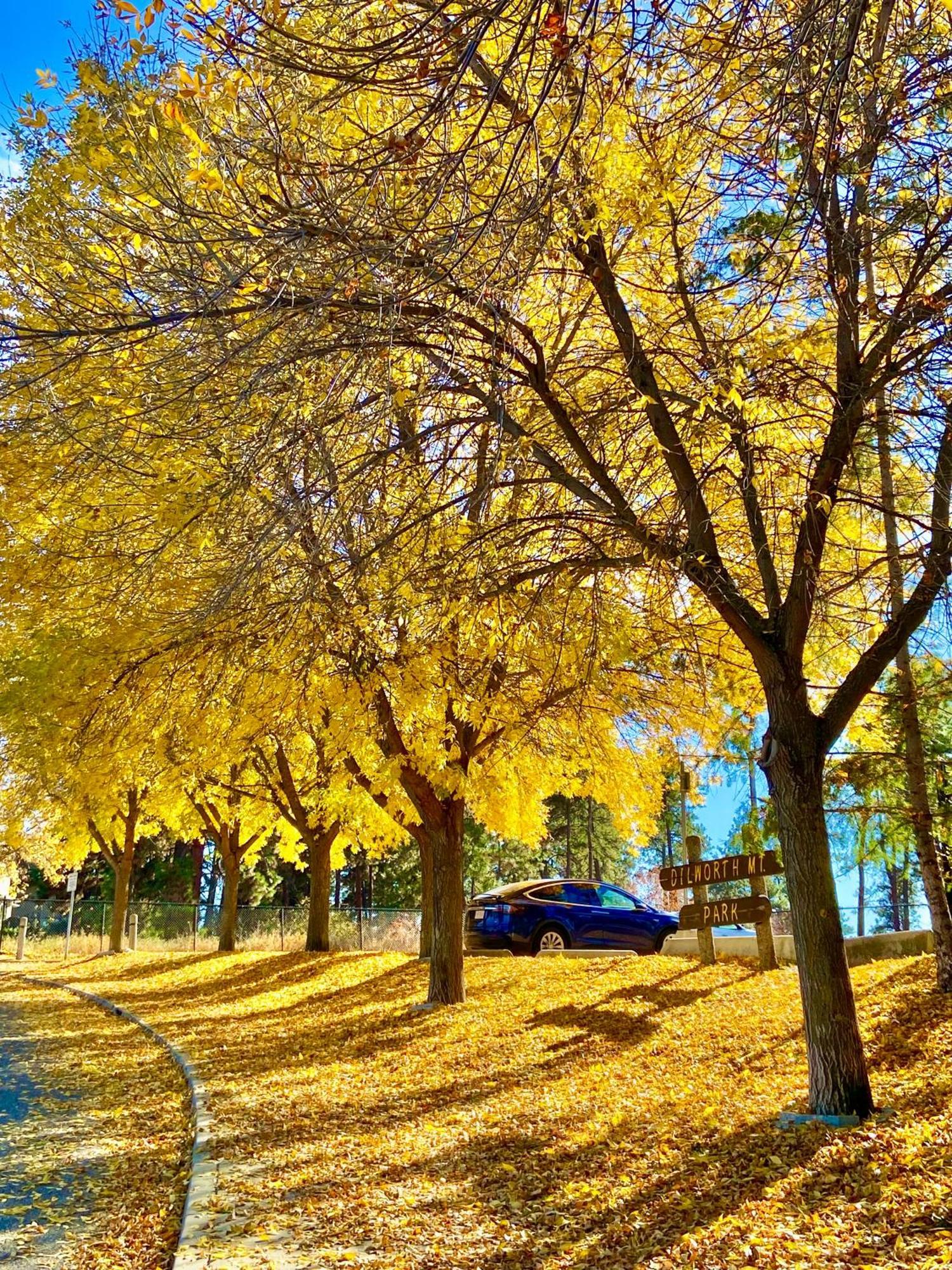 Kelowfornia Lakeview Retreat Kelowna Esterno foto